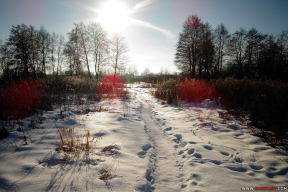 В ожидании солнца. 10 фото, которые разбавят зимнюю серость