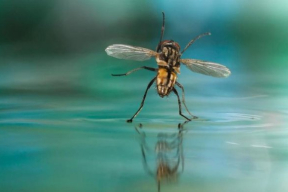 Свитан: «Лукашенко может предать Путина и действительно выйти сухим из воды»