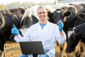 Кнырович: Вы не можете сказать программисту: «Дорогой, а не хочешь ли ты переучиться и поехать в колхоз под Кричевом осваивать новую профессию?»