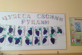 Ольшевский: «Это как при «сухом законе» вырубать виноградники. Наши чиновники так мыслят»