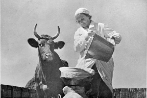 Лысенков: «Госпредприятия в Беларуси — производственные участки, а руководителей и на местах я бы даже не назвал директорами, это просто бригадиры»