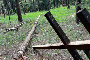В Куропатах спилили деревья, которые упали на кресты