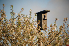 «Бабушка скучает, просит вернуться, говорит, что ей одной плохо. Но я не в силах»