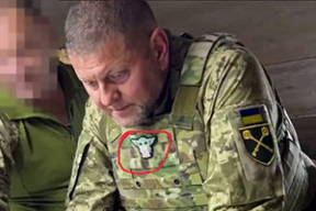 Малыш Йода Залужный