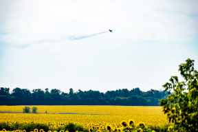 Война, 1 августа. Польша: два беларусских вертолета нарушили воздушные границы. Встреча представителей ОПК и руководства полка Калиновского: «Гістарычная падзея для дэмакратычнага руху». Россияне обстреляли больницу в Херсоне