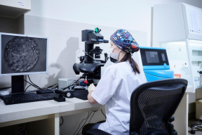 Лечение бесплодия в Польше: на какую поддержку могут рассчитывать беларусы?