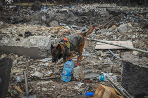 Тышкевич: «Мы подходим к ситуации, когда любой массированный обстрел Украины будет провоцировать массированный налет на территории России»
