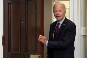 «Это безмозгло, это постыдно»