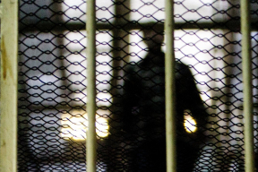 Активисты «Движения матерей-328» просят власти об амнистии к осужденным за наркопреступления