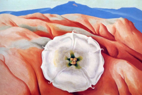 Природная сексуальность цветов на картинах художницы Джорджии О'Кифф