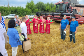 Профессиональные комбайнеры нервно курят в тамбуре, когда на поля выезжает гендиректор «Беларуськалия»