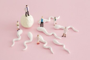 Несмиян: «Традиционный источник иссяк, а вот зверство власти – нет»