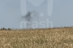 Несмиян: «Все закономерно. Общая социальная катастрофа сопровождается резким ростом аварий и происшествий»