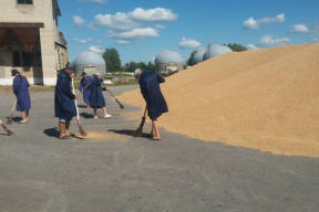 На Гомельщине школьников из оздоровительных лагерей отправили на работу в колхозы