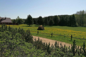 Земельный участок Виктора Бабарико продали на аукционе