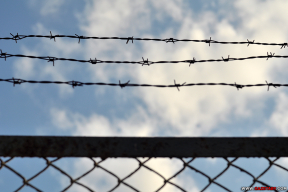 «С каждым километром продвижения ВСУ в Курской области растет уровень гуманизма беларусских властей»