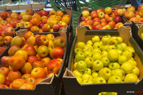 «В «Грошыке» взяла себе два яблока. Скидки на фрукты и овощи есть, разве что, на полугнилые»