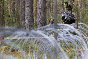 Глава погранзаставы в Литве: «Думаю, в Беларуси нелегалов учат преодолевать физический барьер»
