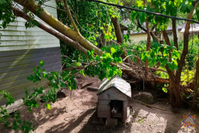 Погода продолжает приносить сюрпризы