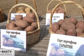 Кнырович: «Нелюбовь Лукашенко к американскому фастфуду обошлась беларуским налогоплательщикам в серьезные деньги»