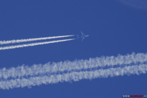 Польша и Латвия создают бесполетную зону на границе с Беларусью