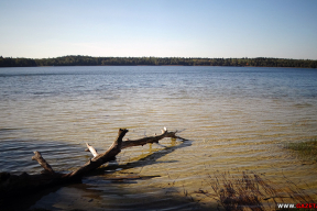По легенде в этом озере Беларуси жила русалка. Угадаете, где оно находится?