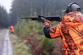 В Беларуси разрешили охоту на краснокнижную рысь