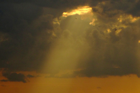 Вардамацкі: «Калі рабіць параўнанне паміж беларусамі і расіянамі, то эмпатыя — тая рыса, якая нас існасна адрознівае»