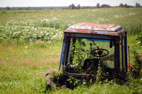 Почему Лукашенко начал заступаться за нарушителей жесточайшей дисциплины и железного порядка