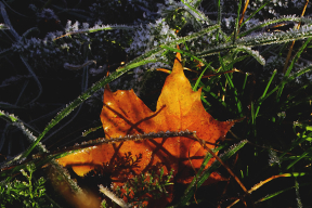 Морозное утро на озере. 10 бодрящих фото