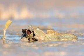 Морозов: «Если жить рядом с Кремлем, то в любой момент ты можешь ожидать чего угодно»