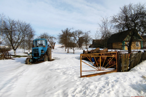 Почему отчет КГК о ситуации в хозяйствах Гродненщины вызывает тревогу