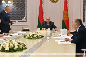 Лукашенко — о пневмониях: «Уже нет такого прироста, как было 2-3 недели назад»