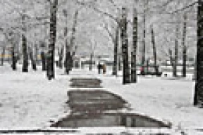 Такой холодной весны в Беларуси не было 50 лет!