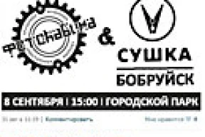 Оппозиционность приравняли к фашизму и порнографии