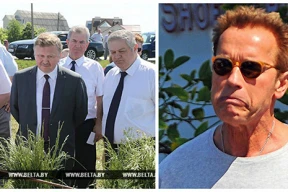 Почему Шапиро не Шварценеггер