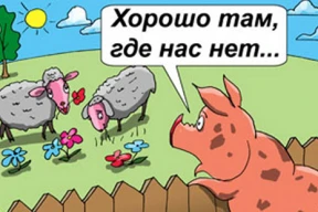 Как швейцарцы подложили свинью белорусским властям