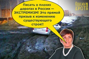 Жительница Омской области пожаловалась на плохие дороги. Ее обвинили в экстремизме