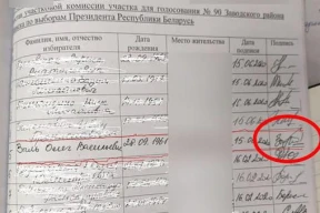 Минские избиратели написали заявление в милицию: «Я не ставил за нее подпись»