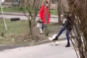 В Витебске задержали женщину, которая избила свою собаку
