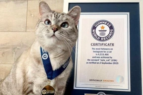 Самые богатые животные: шесть реальных историй и одна мистификация