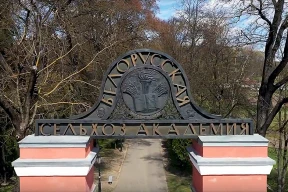 Цифра дня. Сколько россиян поступят в беларуские вузы на бюджет и без экзаменов