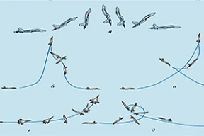 «Вираж, который взял режим, выглядит еще интереснее»