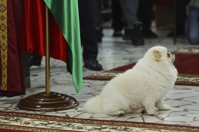 Чалый: «Лукашенко сейчас так же одиноко и страшно. Он долго себя убеждал, что не проиграл выборы»