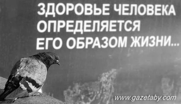 Беларусь. Совершеннолетие. Год 2008-й
