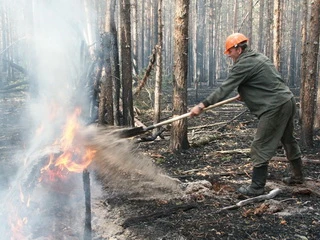 Пожары в «чернобыльских лесах» вызвали споры экспертов. Во Франции уже готовятся к борьбе с «радиоактивным облаком»  